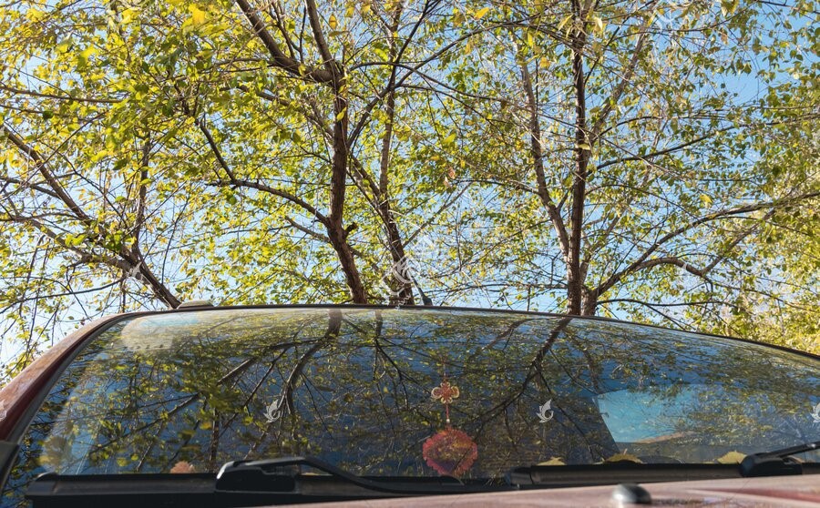 luxury car luxury car